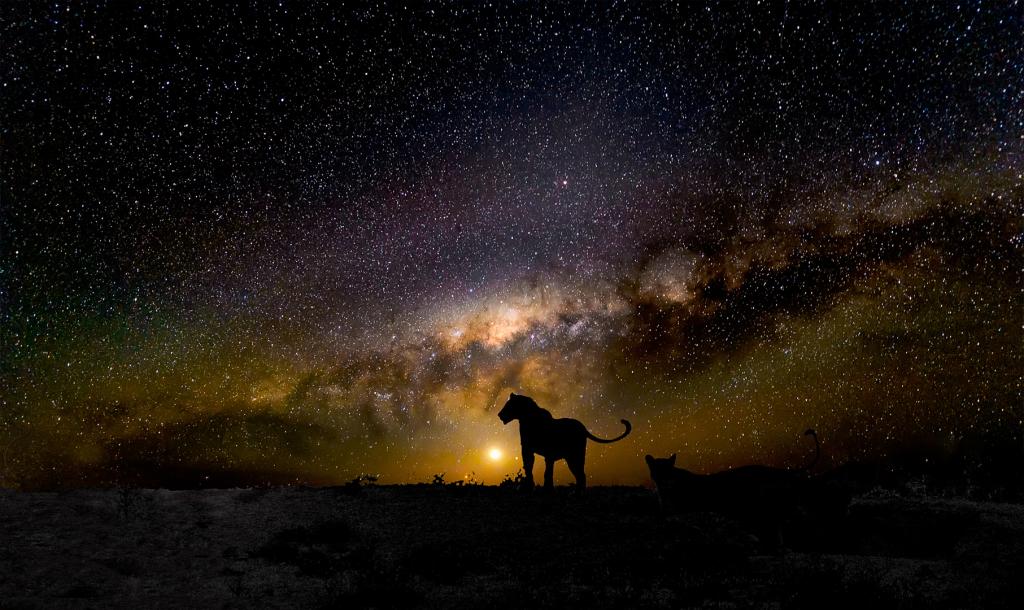 Kgalagadi Milky Way by Peter Calder