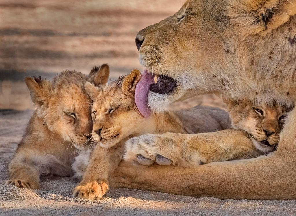 Wash Time by Suzanne Calder