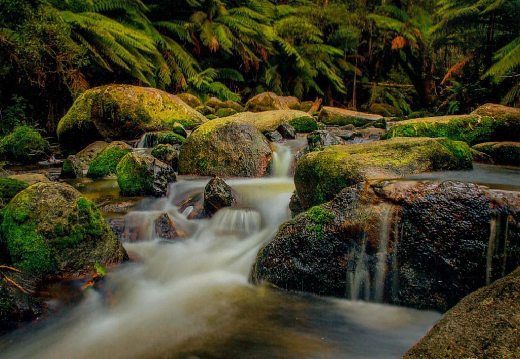 Rocks and Water by Pauline Bridges