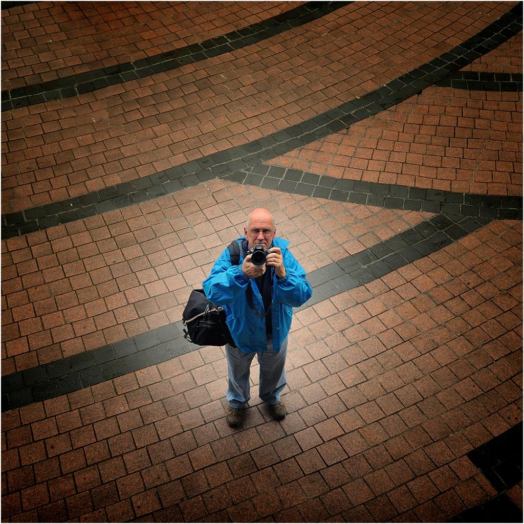 Looking Up by Bob Clothier