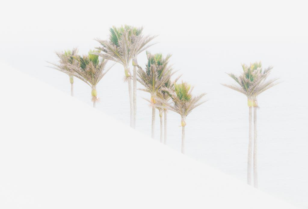 Kaihoka Sands by Suzanne Calder