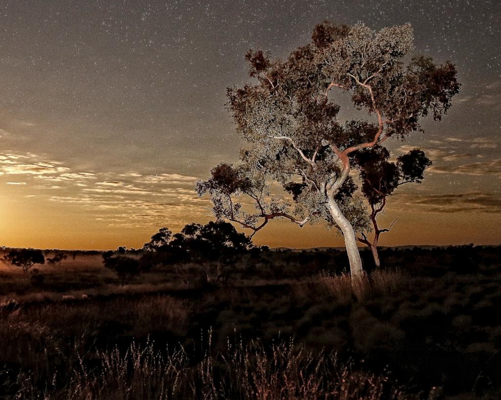 Pilbara by Night by Helen Ansems