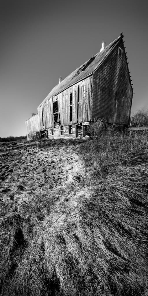 Pepper&#039;s Barn Stands Tall by Penny Chadwick