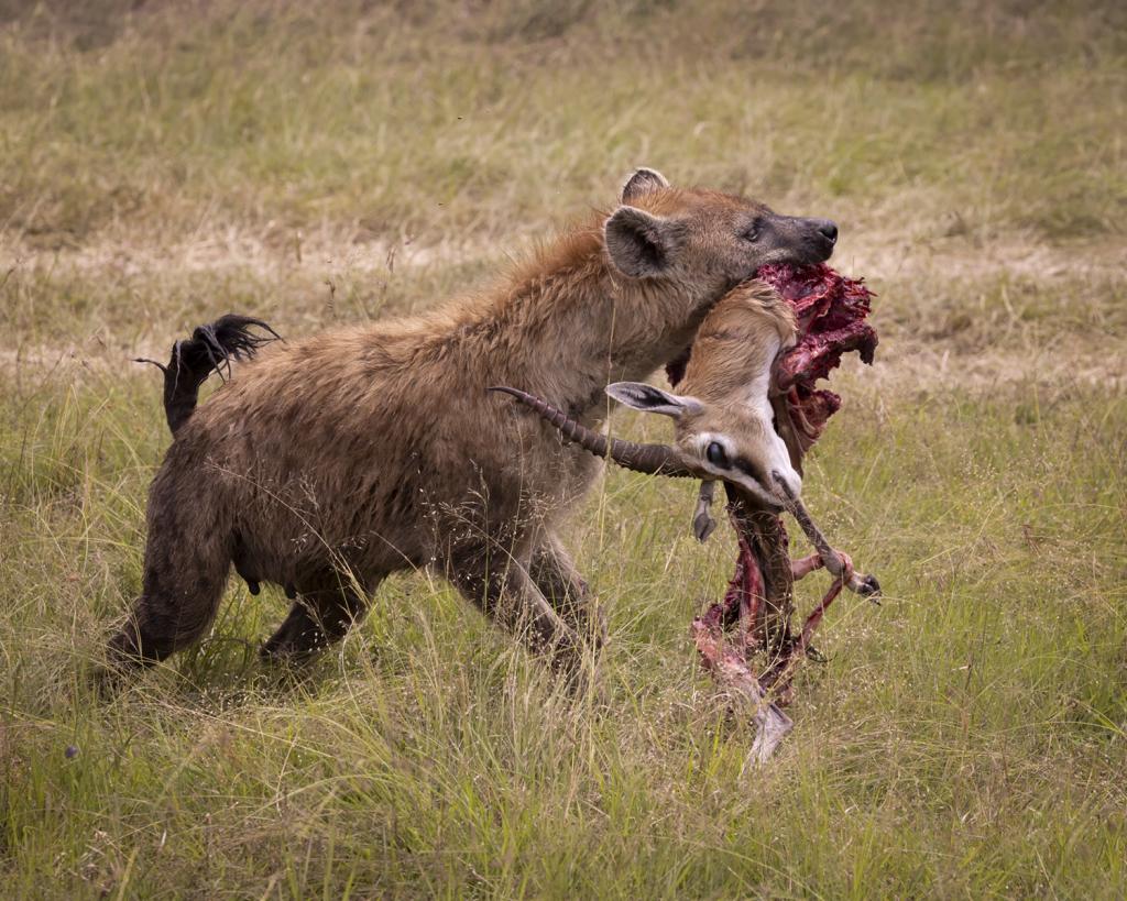 Fear No More by Jeffry Farman