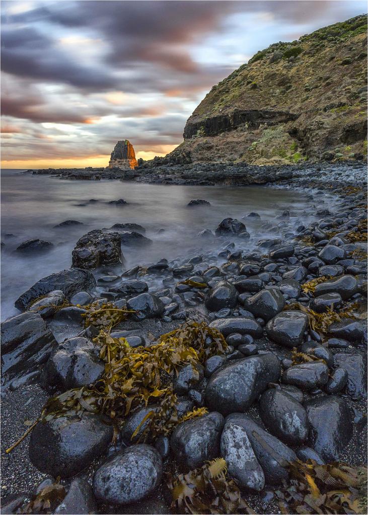 Cape Schanck by Elizabeth Collins