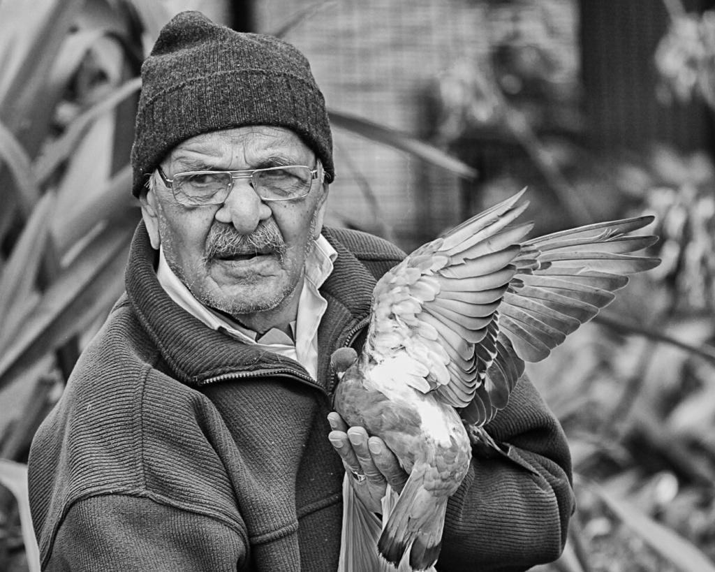 Bird Man by Philip Maxwell