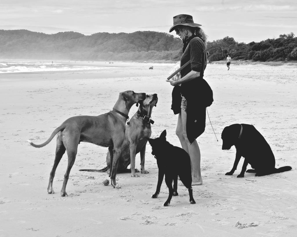 Dog Whisperer Byron Bay by Helen Ansems