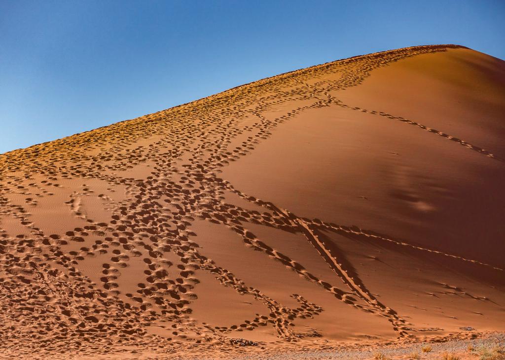 Footprints by Ray Bowden