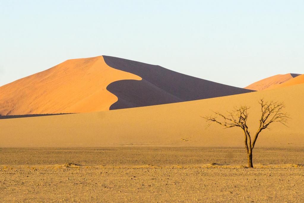 Dunes at Sunset by Ngaire Denne