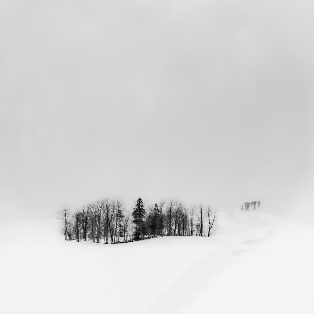 Tokachi Snowscape by Malcolm Gamble