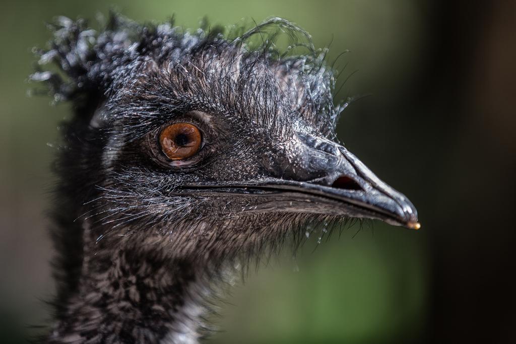 Bad Hair Day by Mark Sutton