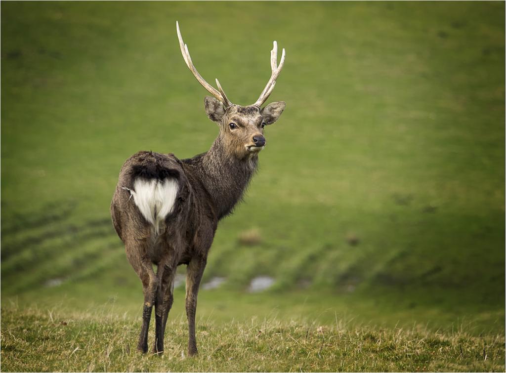 Startled by Greg Earl