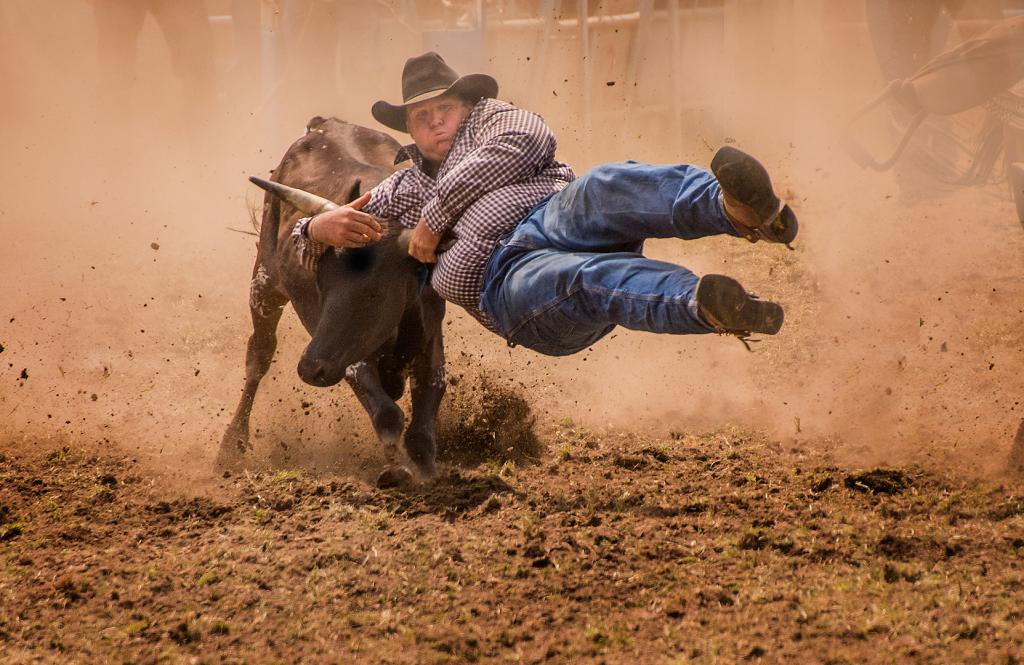 Bull Dust and Buckaroo by Suzanne Calder