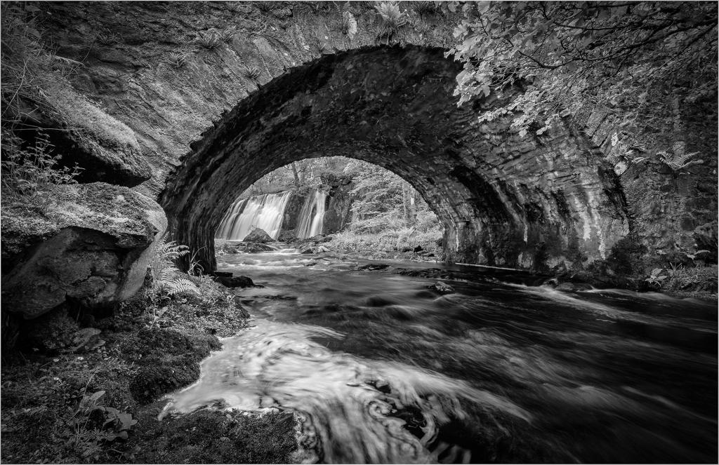 Water under the Bridge by Valerie Earl