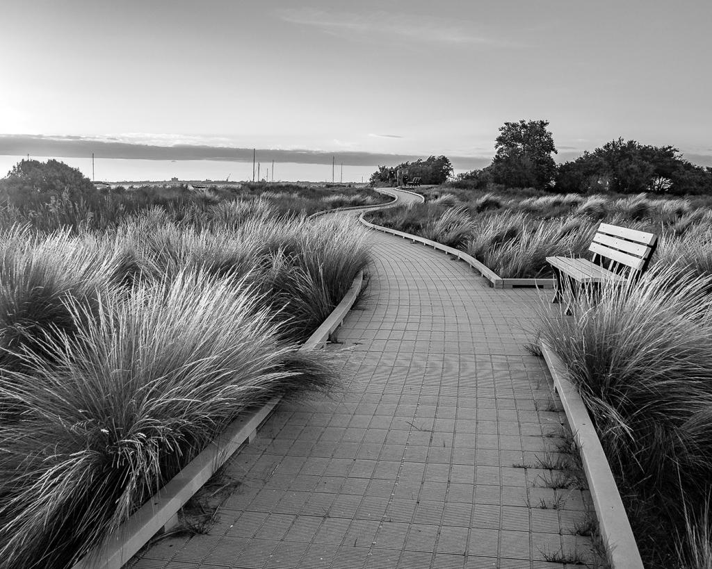 St Kilda Evening by Ray Bowden