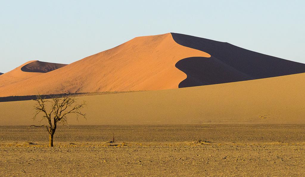 Namibia Sand Dunes by Ngaire Denne