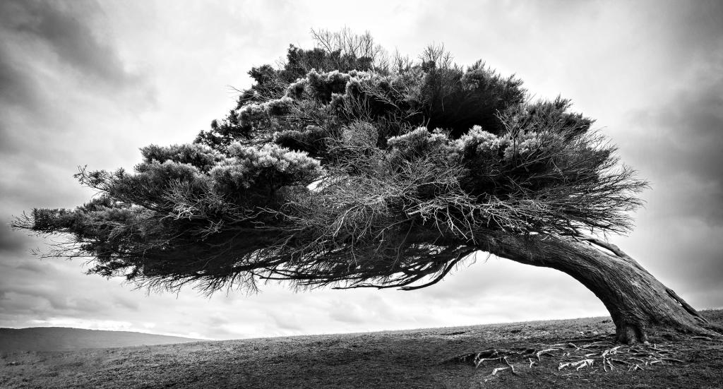 Against The Wind by Mark Sutton