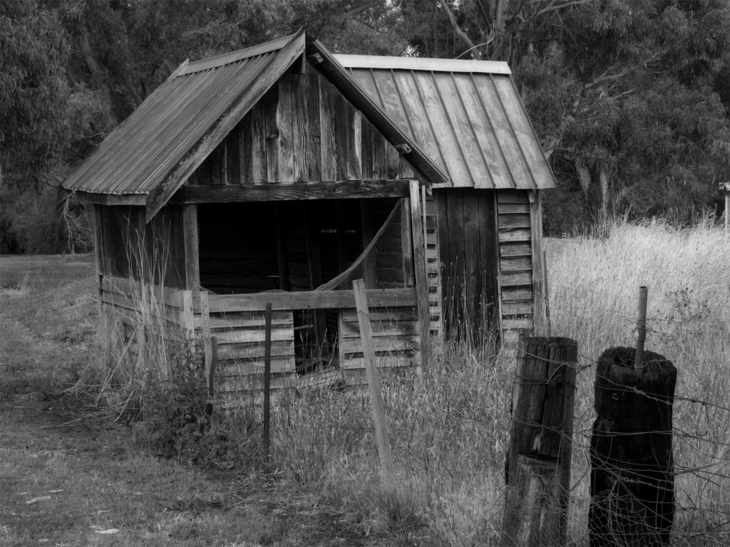 Chook shed, Dunkeld by Jonathan Moffett