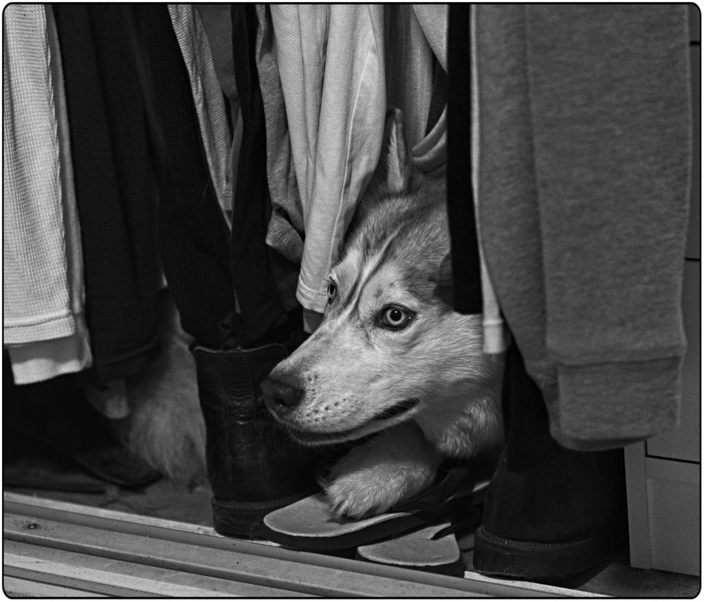 Turn the thunder off PLEASE! by John Thomson