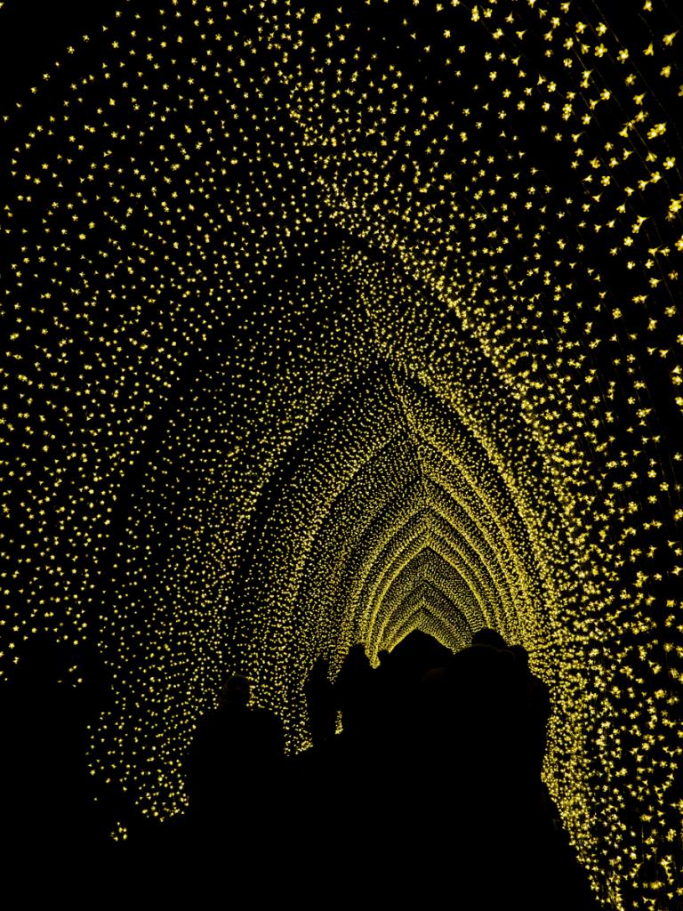 Botanic Gardens Lightscape 30  by Jonathan Moffett