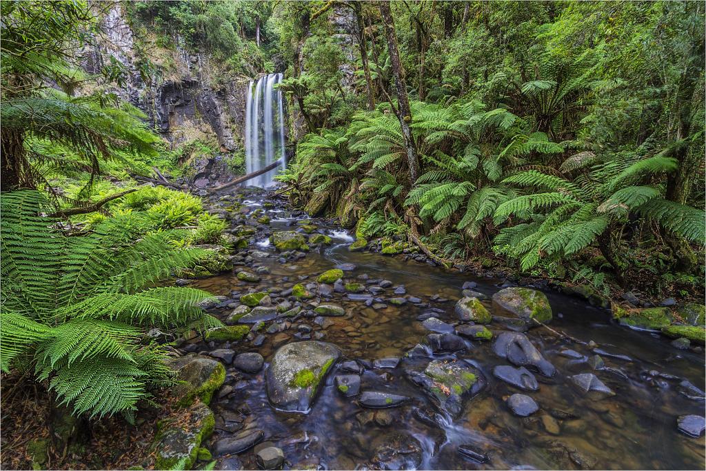 Beauchamp Falls by Elizabeth Collins