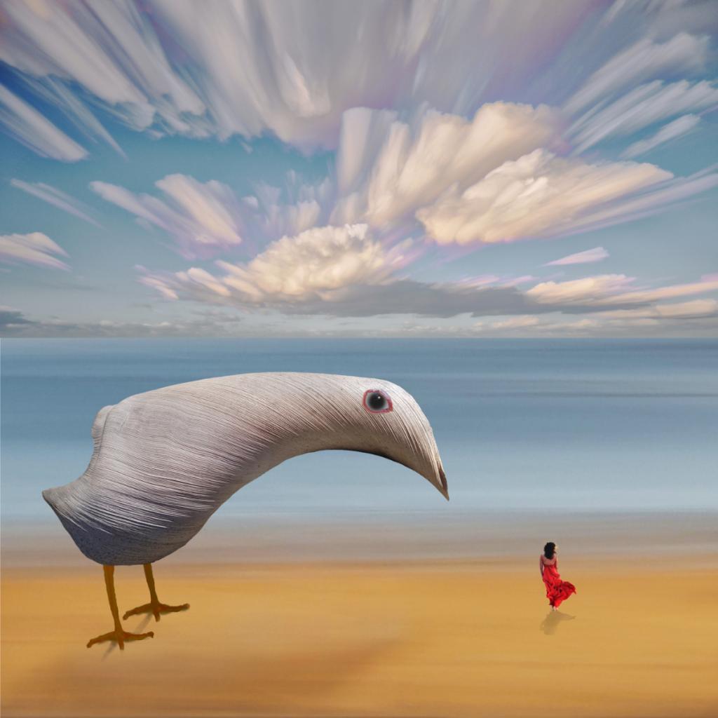 Big Bird by Peter Hammer