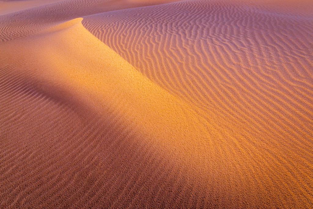 Tin City Dunes by Malcolm Gamble