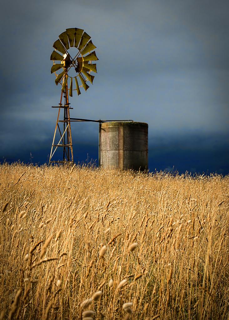 Windmill in Golden Light by Margaret Edwards