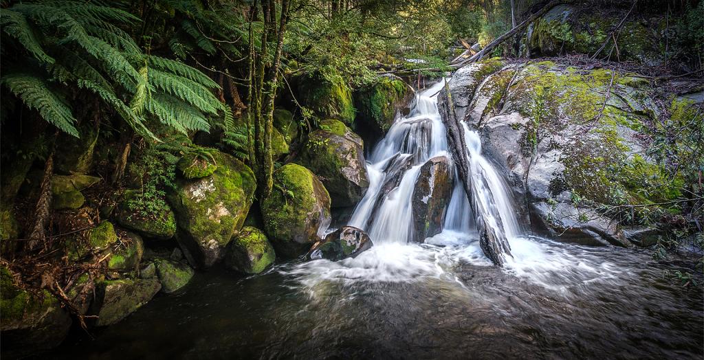 Falls Near Marysville by Margaret Edwards