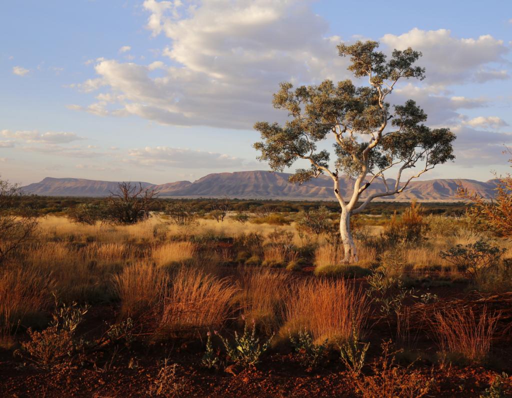 A Pilbara Landscape by Helen Ansems