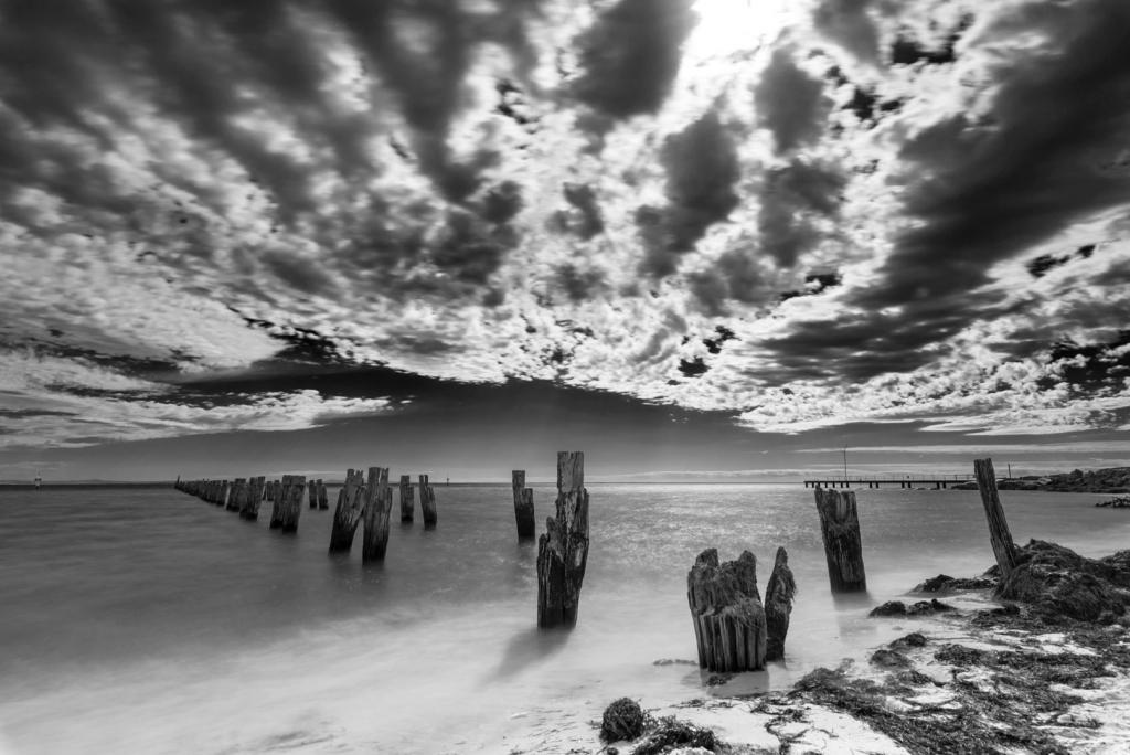 Grey Poles by Graeme Addie