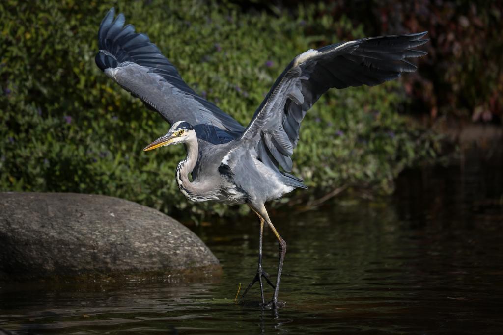 Prepare for Takeoff by Christine Smith