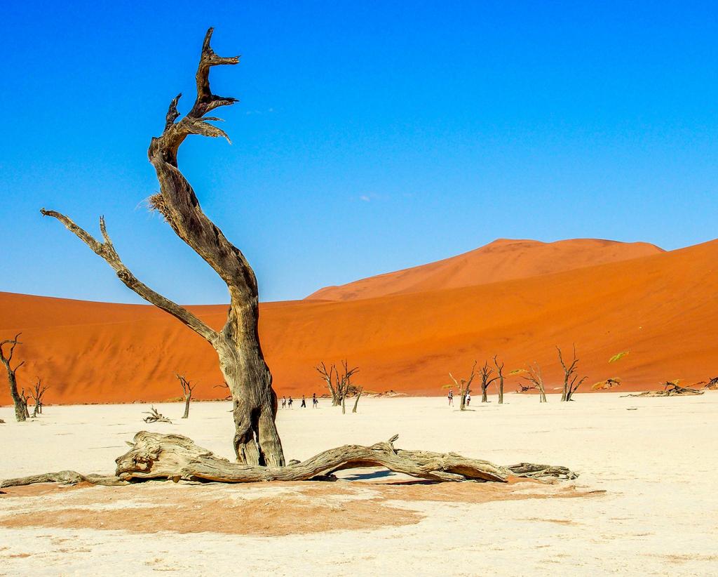 Salt Pan by Glenda Urquhart