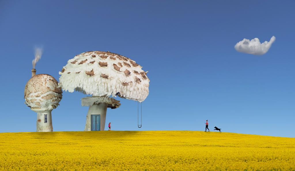 Fungi Houses by Peter Hammer