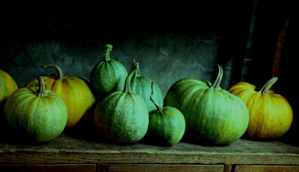 Mystic Pumpkins by Chris Fitzgerald