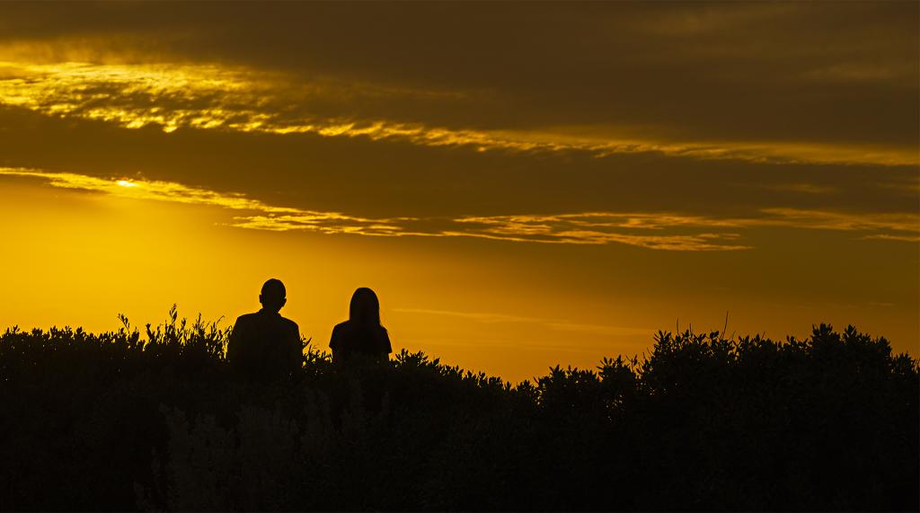 Sunset Silhouette by Liz Furey