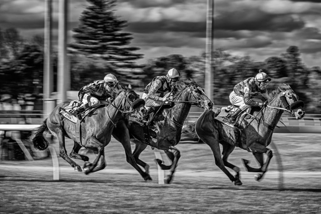 Sprint for the Post by Peter Calder