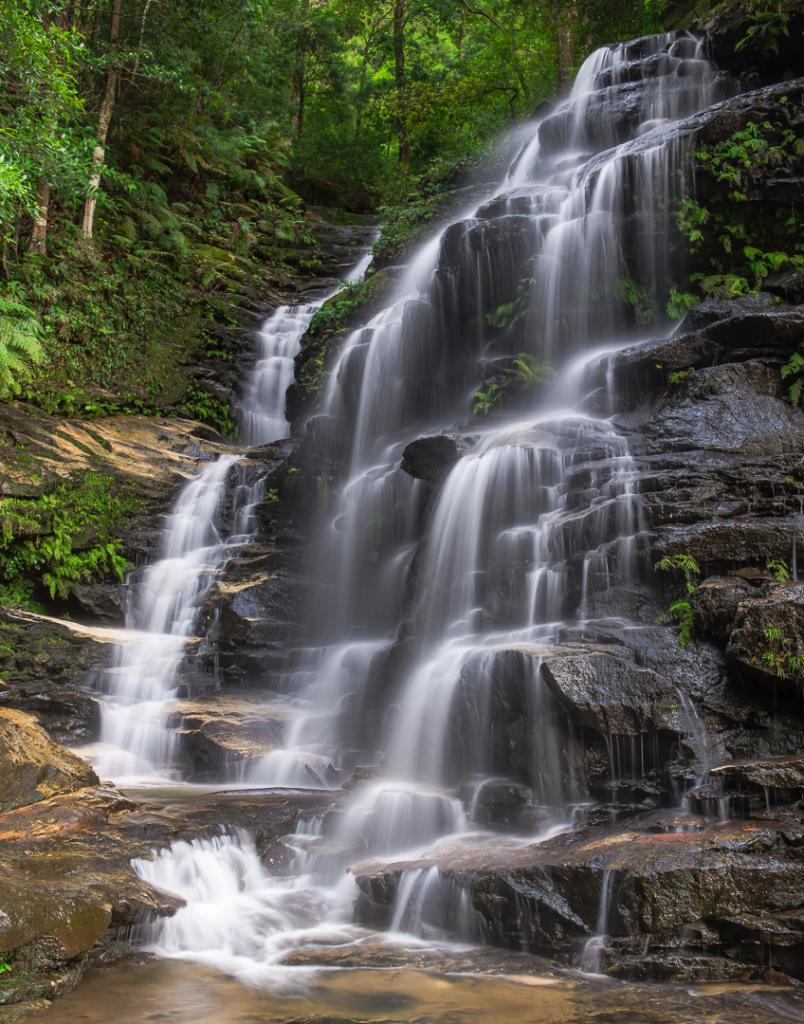 Sylvia Falls by Michael Eggleton