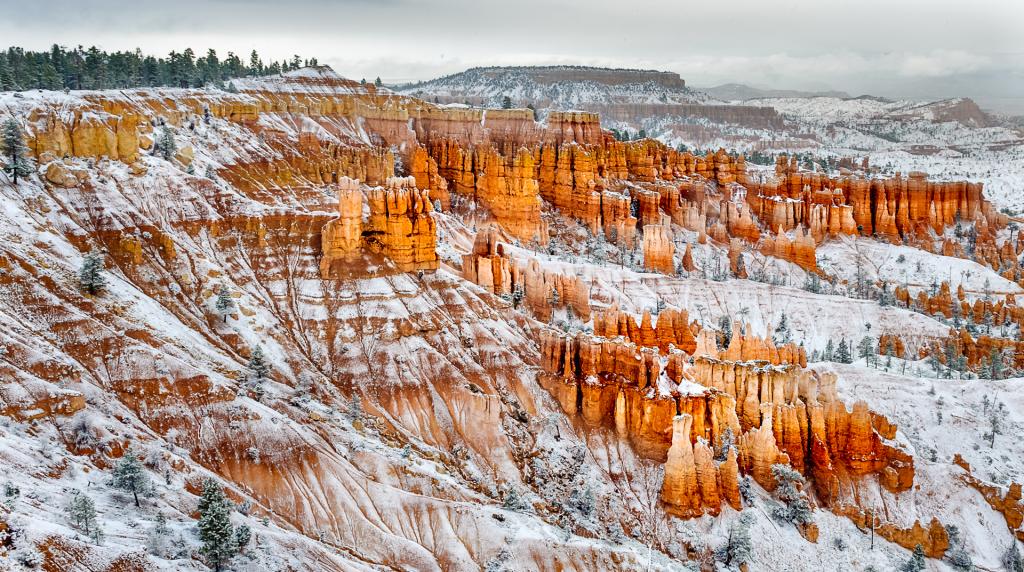 Bryce Canyon No2 by Peter Calder