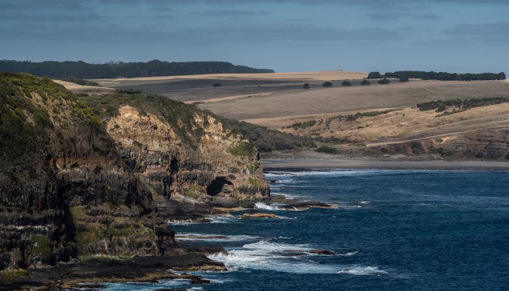 Coastline View by Rita Skinner