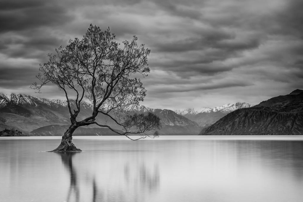 Lake Wanaka by Mark Sutton