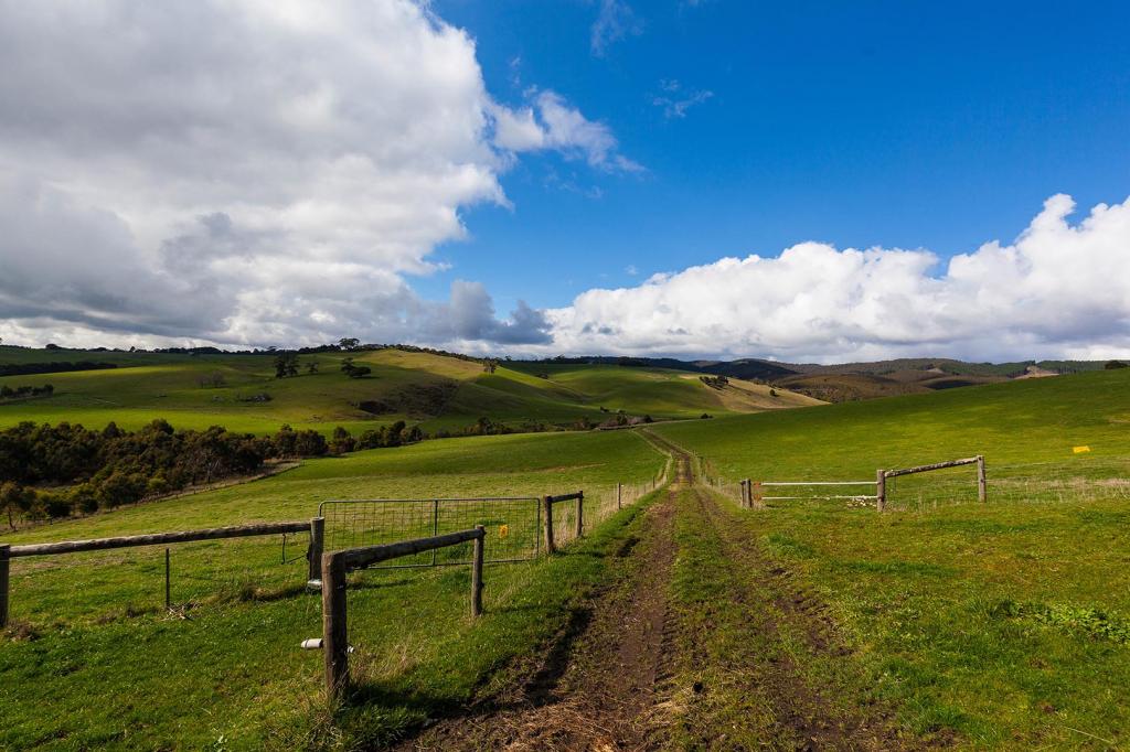 South Australia by Paul Ryjkov