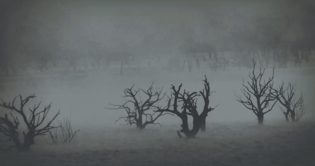 Rising out of the Mist by Gordon Young