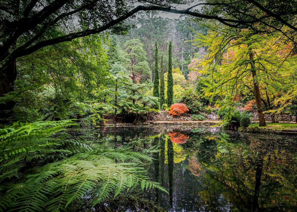Peaceful lake in autumn by Liz Mann