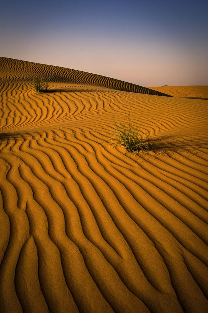 Sand Dunes Late afternoon by Margaret Edwards