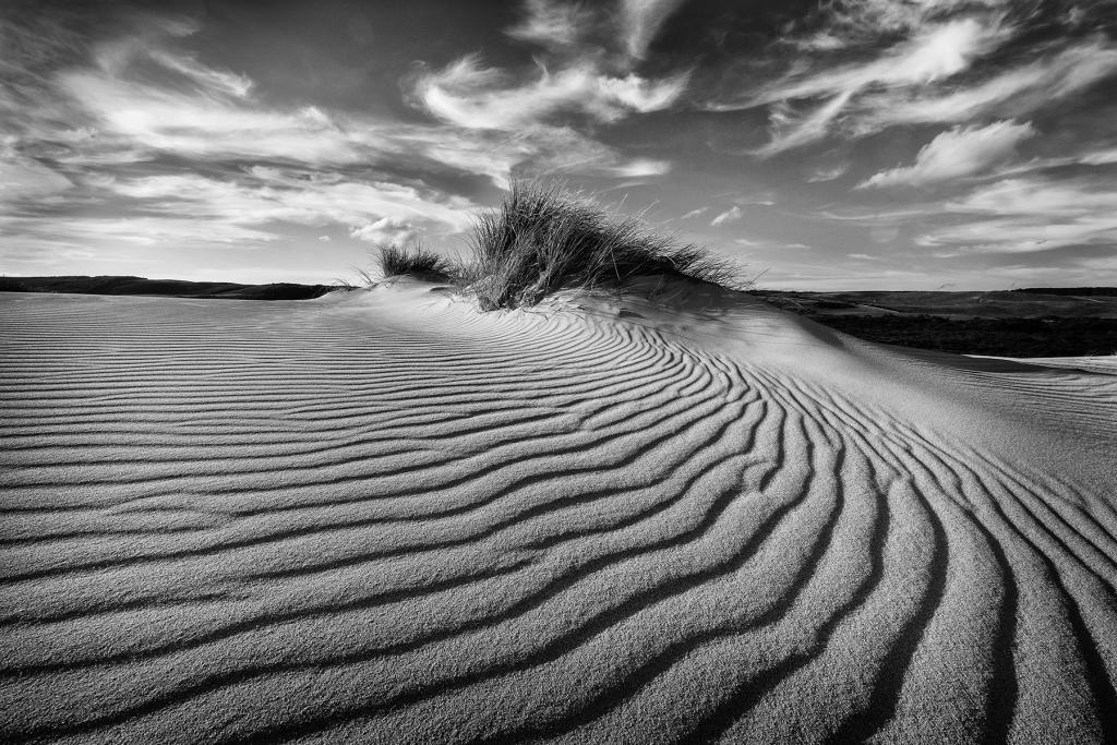 Swan Lake Dunes by Margaret Edwards