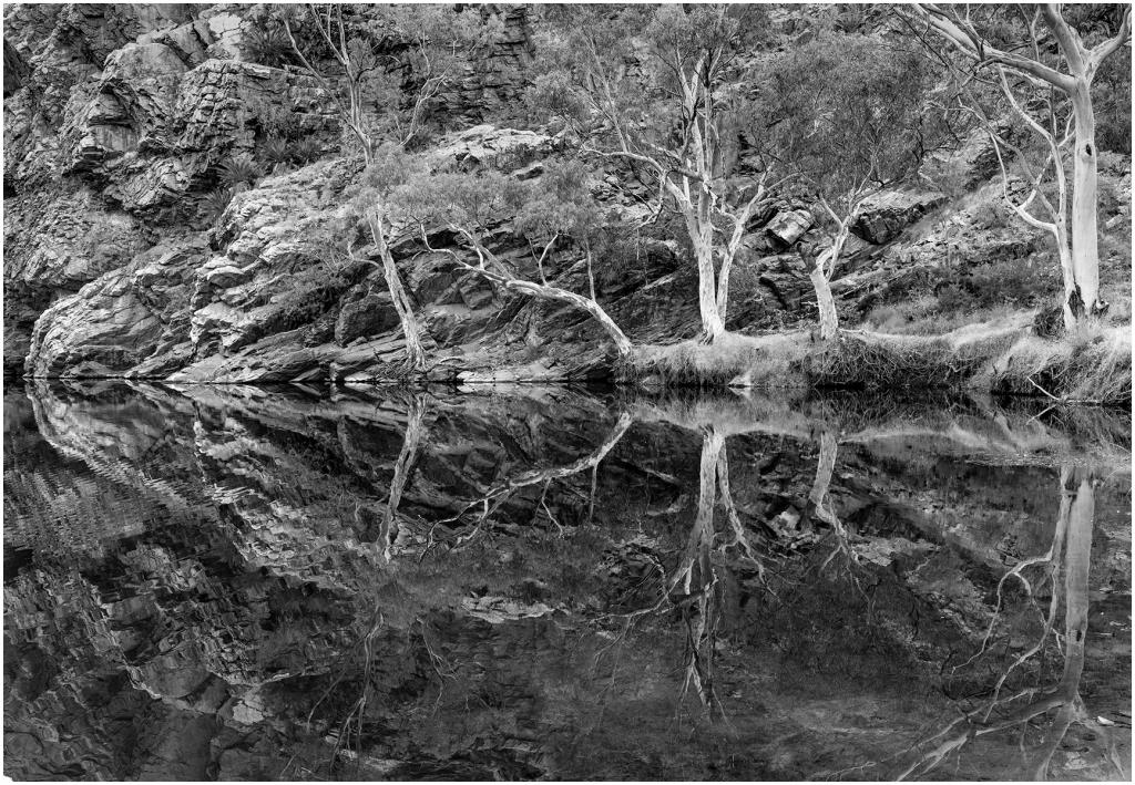 Ellery Creek by John Furey