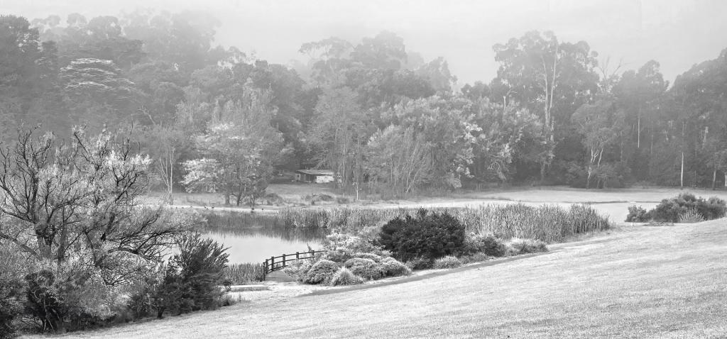 HEALESVILLE by Nancy Lovett