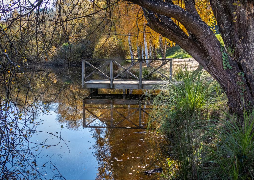 Autumn on the lake by Anne James