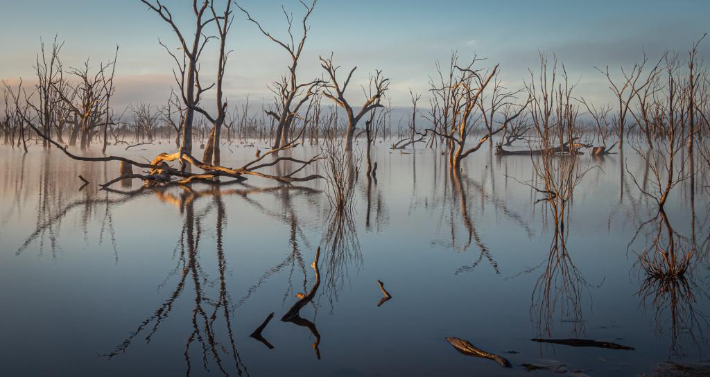 Rocklands reflections by Anne Seddon